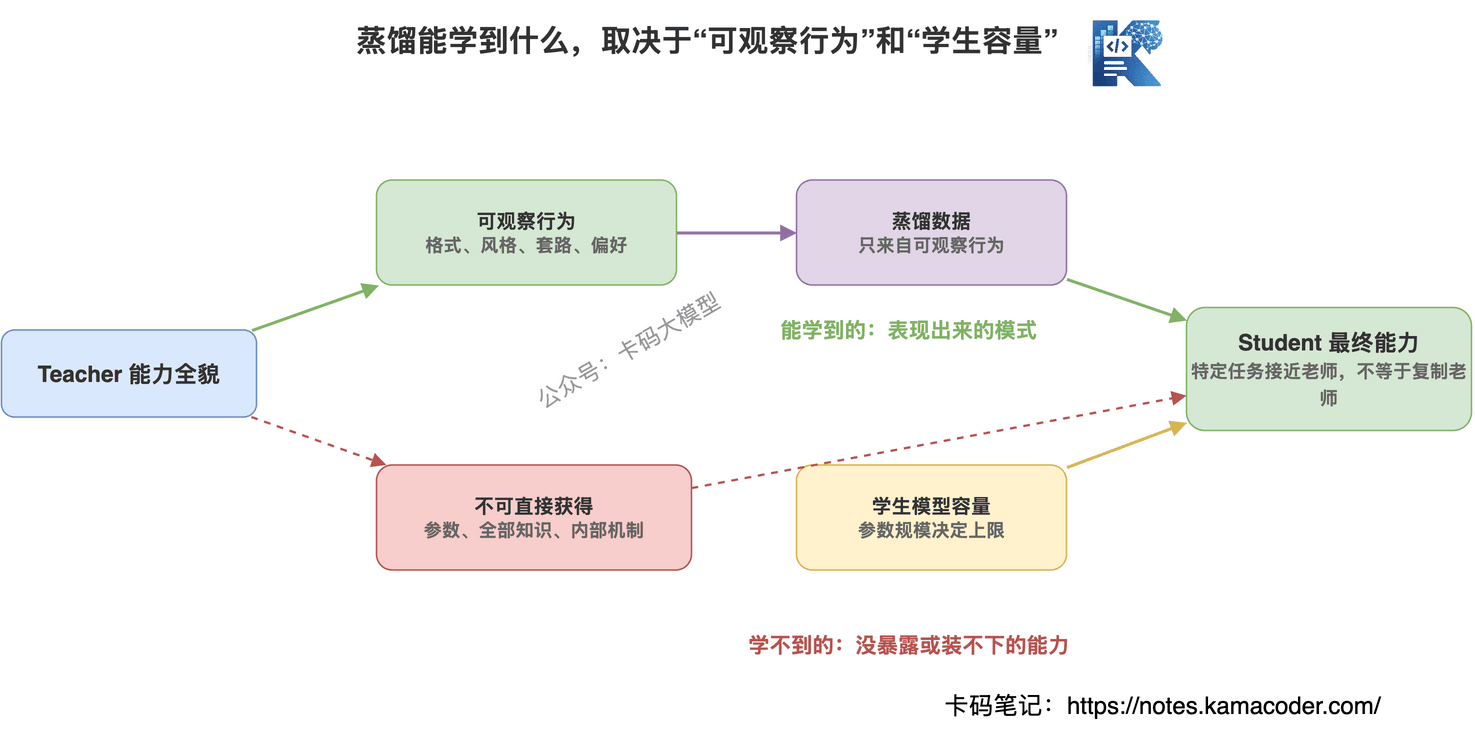 模型蒸馏能学到什么学不到什么