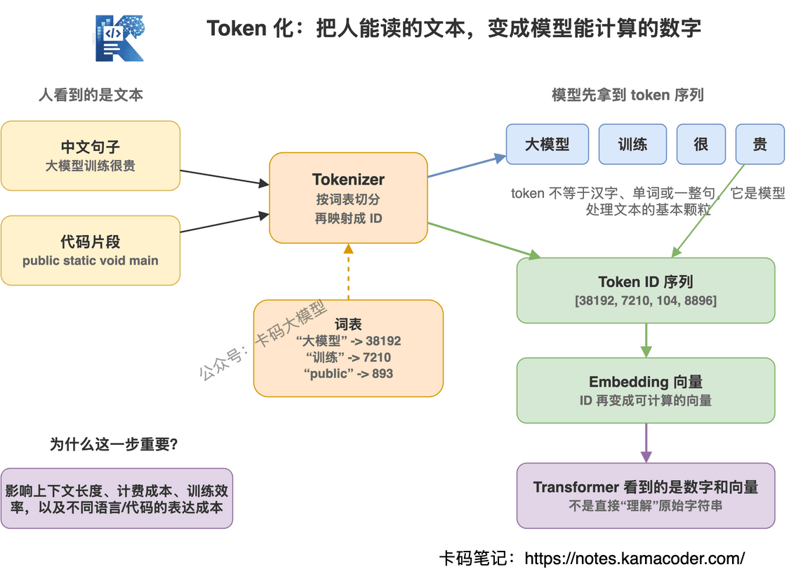 文本先被切成 token，模型看到的是数字序列